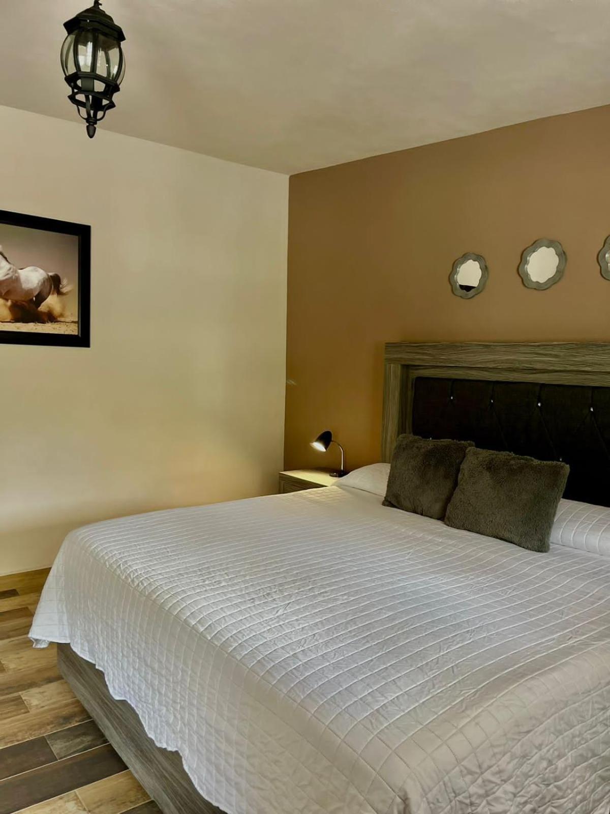Cabanas, Suites Y Habitaciones Rancho San Jorge ベルナル エクステリア 写真