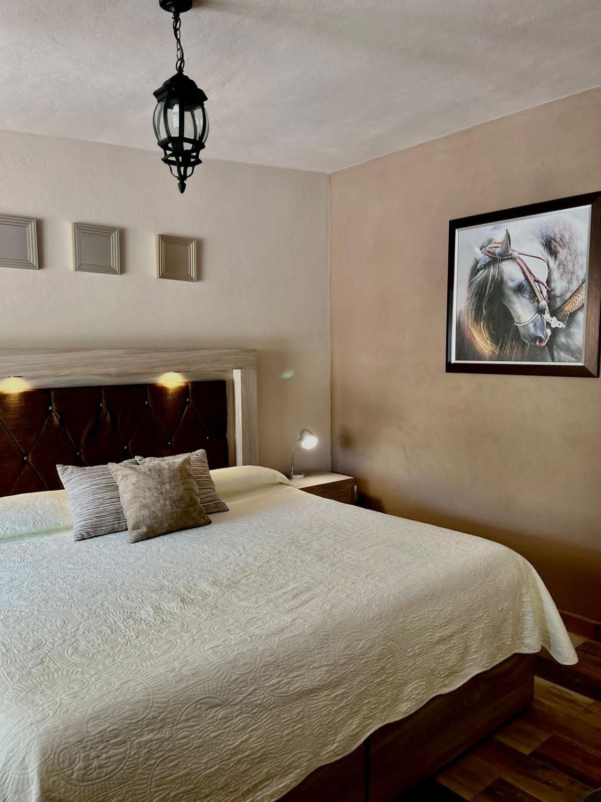 Cabanas, Suites Y Habitaciones Rancho San Jorge ベルナル エクステリア 写真